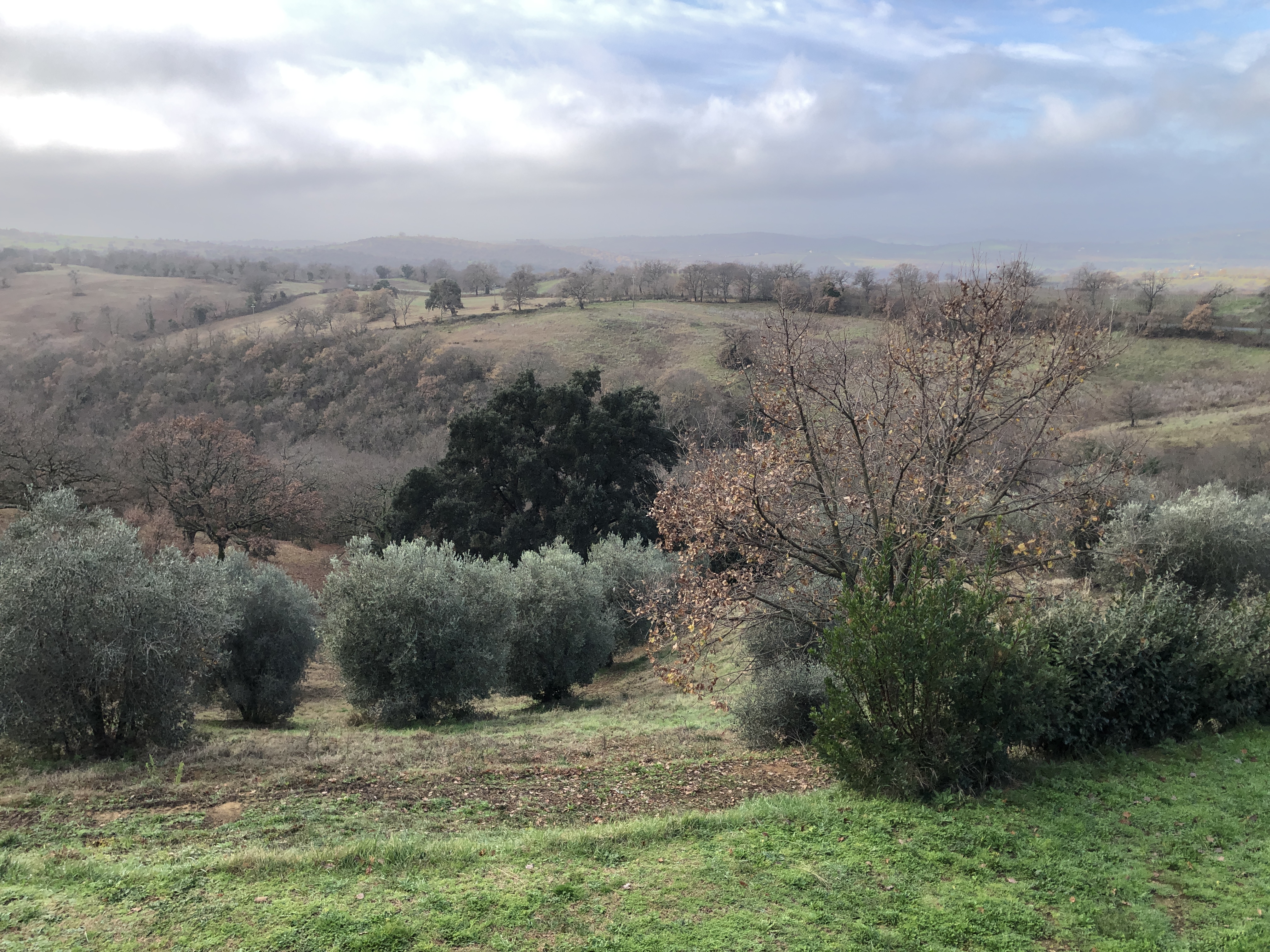 ECCEZIONALE VISTA DELLA CAMPAGNA E DEL MARE