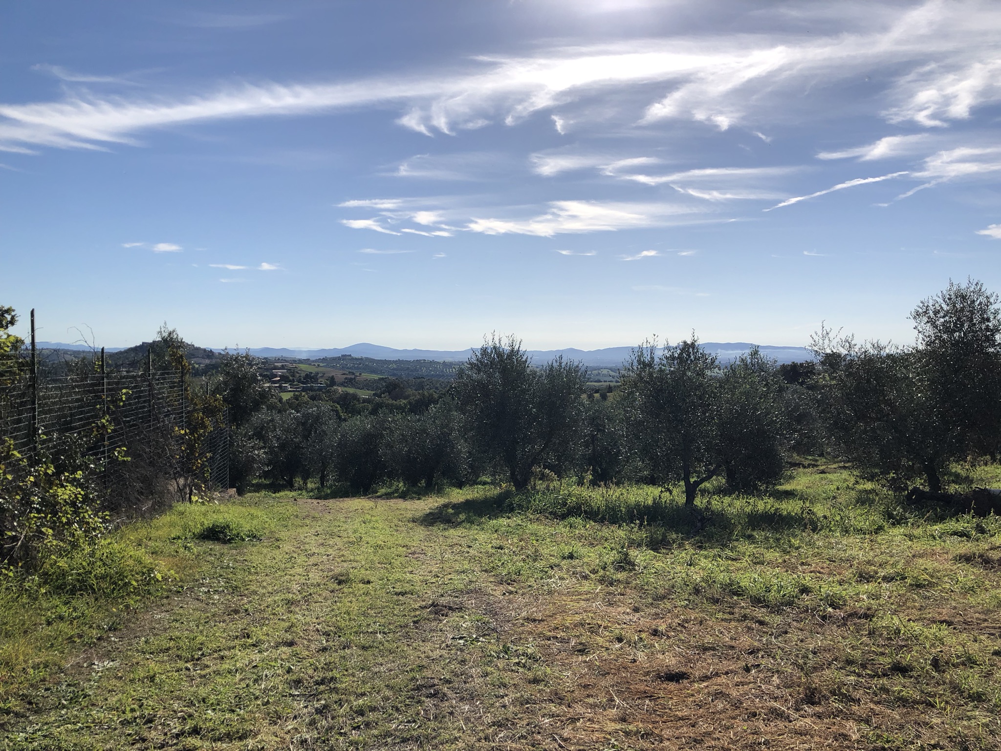 VISTA DAL TERRENO