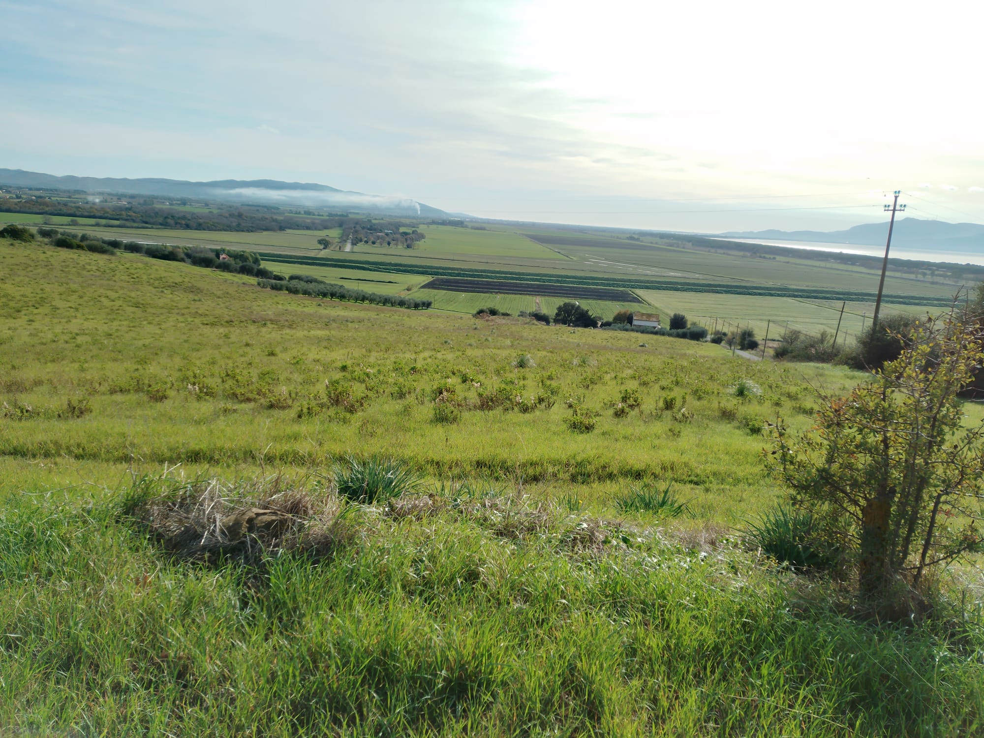 TERRENO AGRICOLO CON VISTA MARE