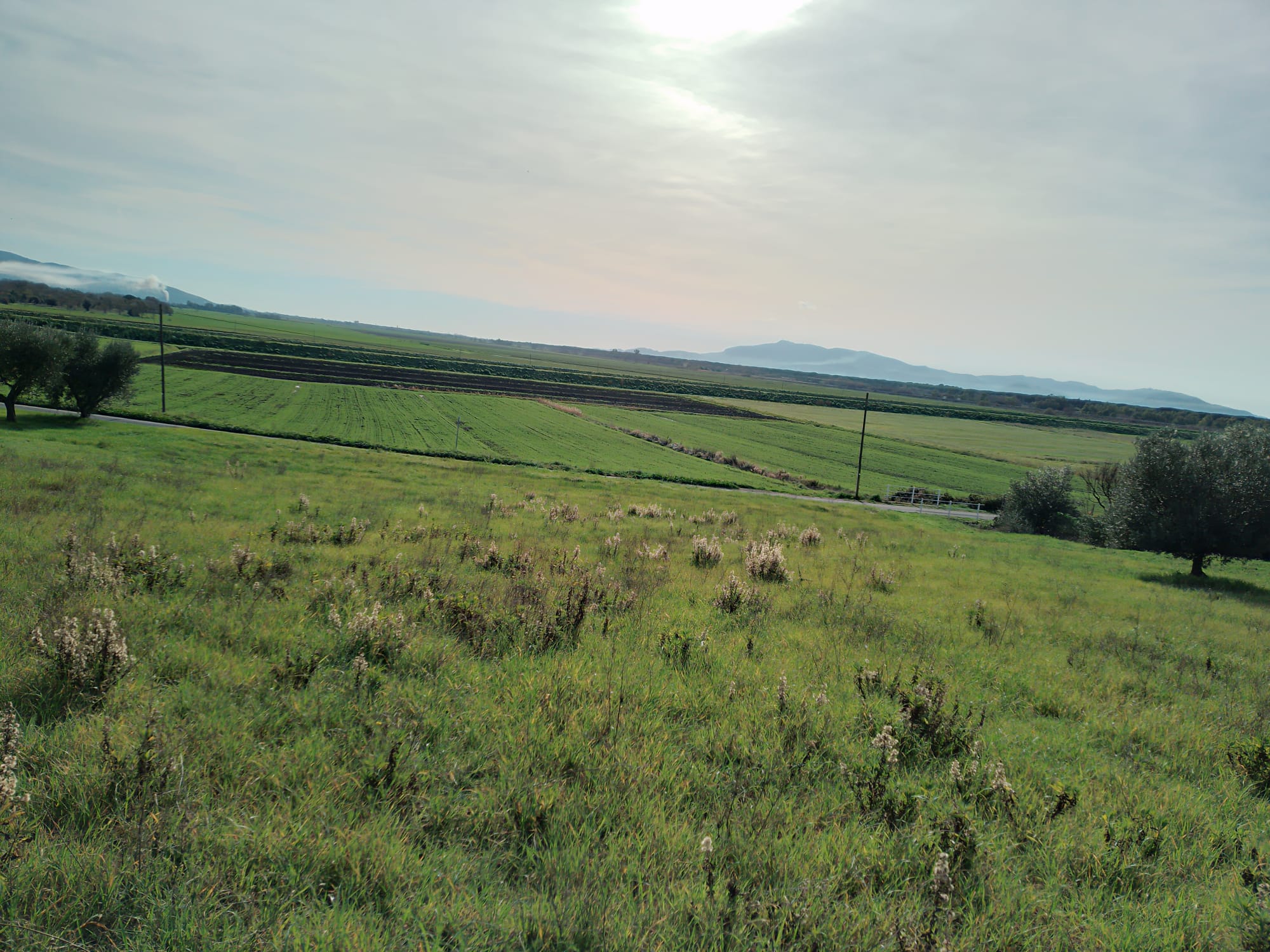 TERRENO AGRICOLO CON VISTA MARE