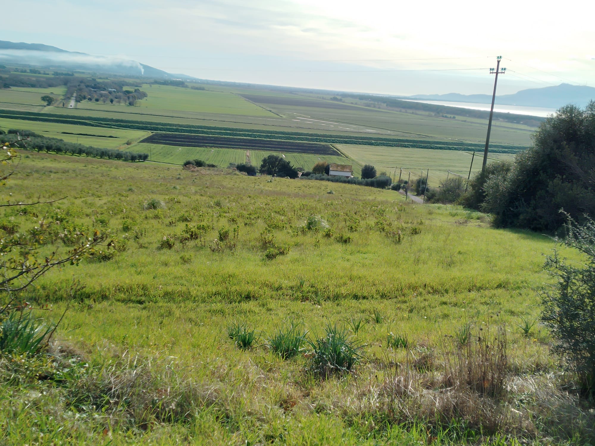 TERRENO AGRICOLO CON VISTA MARE