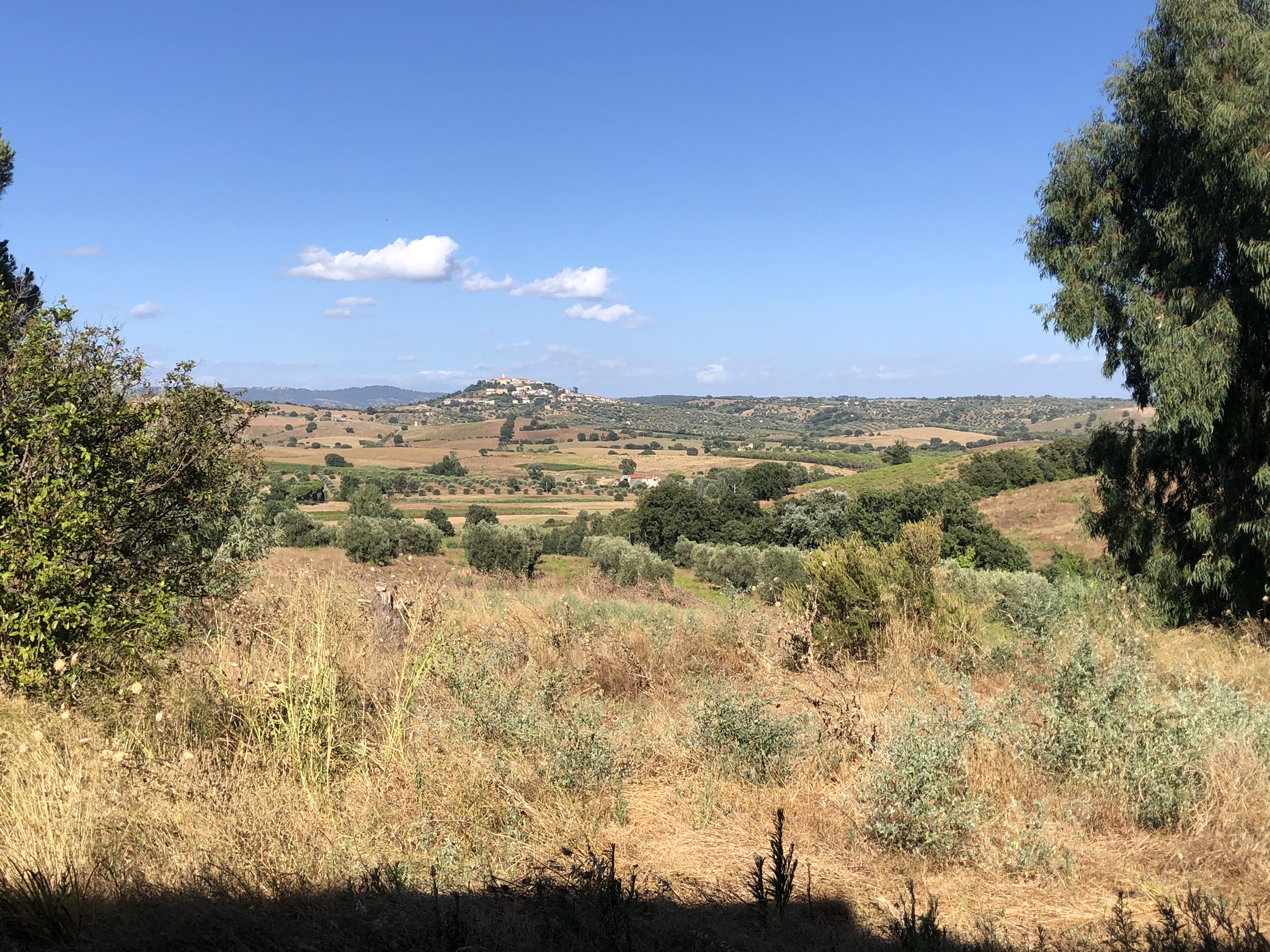 VISTA PANORAMICA VERSO IL PAESE DI MONTIANO