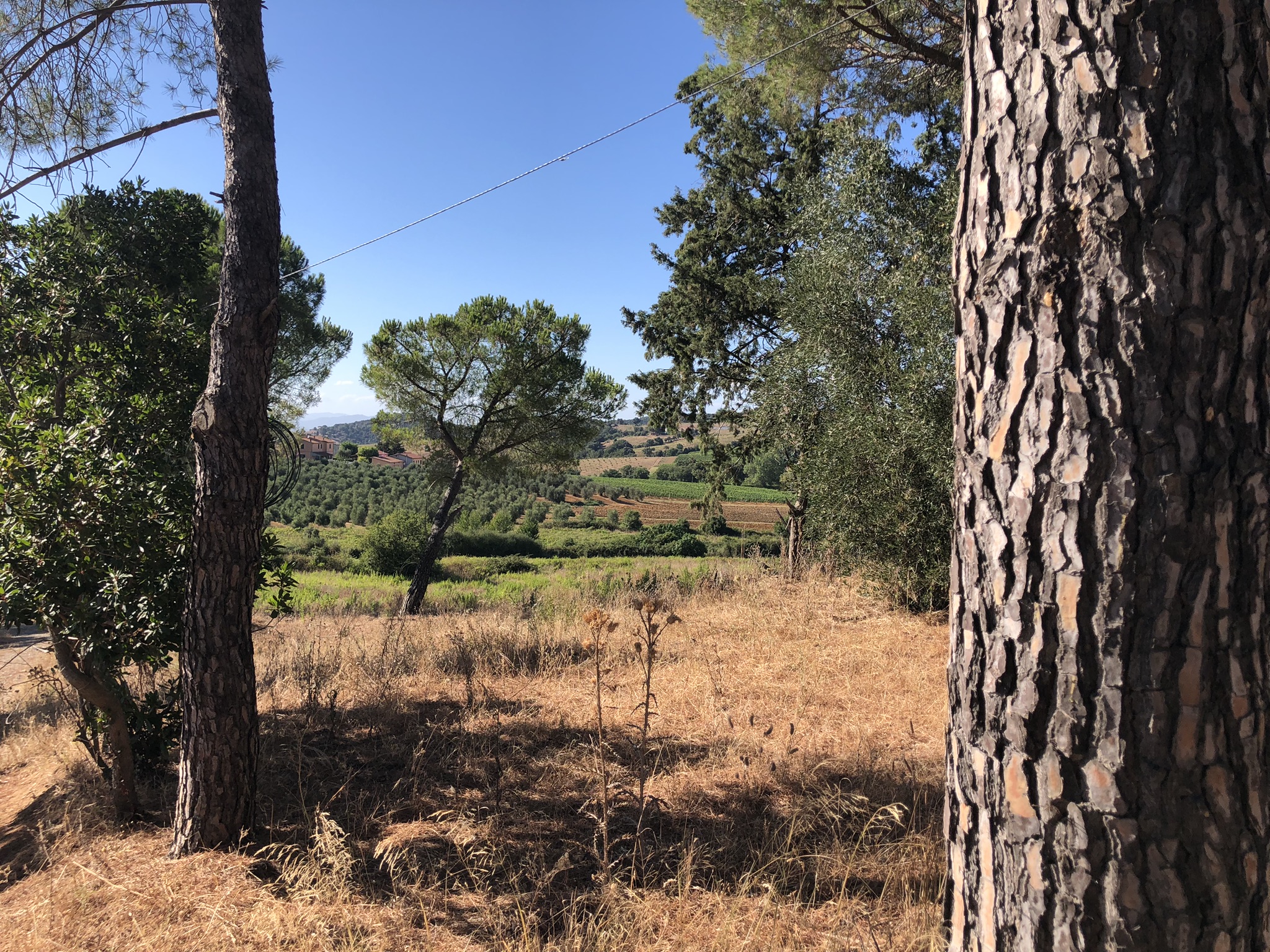 OTTIMA VISTA DELLA CAMPAGNA 